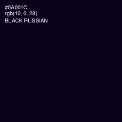 #0A001C - Black Russian Color Image